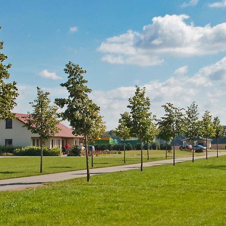 Ferienwohnung Hof Maiweg Alt Schonau Eksteriør bilde