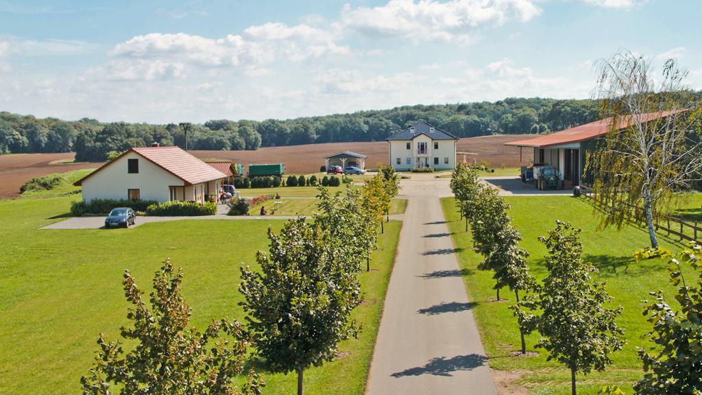 Ferienwohnung Hof Maiweg Alt Schonau Eksteriør bilde